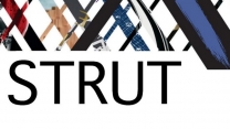 STRUT Header.JPG STRUT Header.JPG