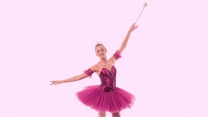 Nutcracker BNT 660x365.jpg Nutcracker BNT 660x365.jpg